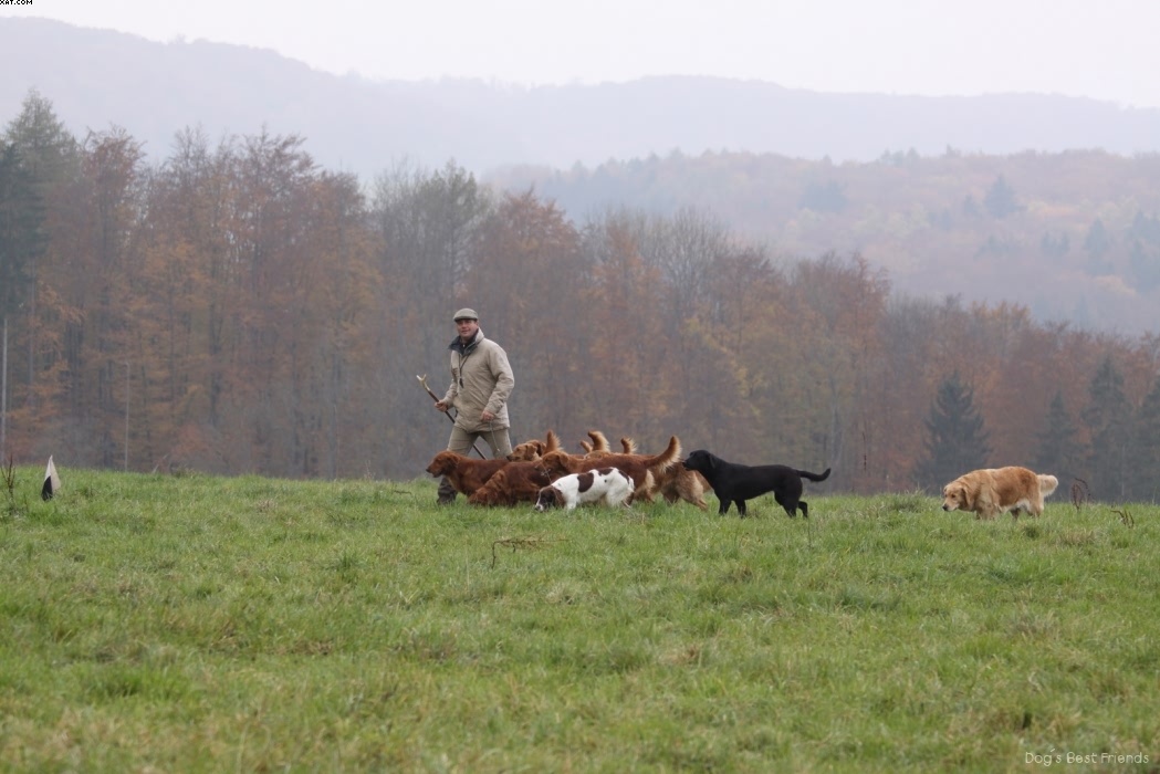 Img 1257425189 789 lg opt