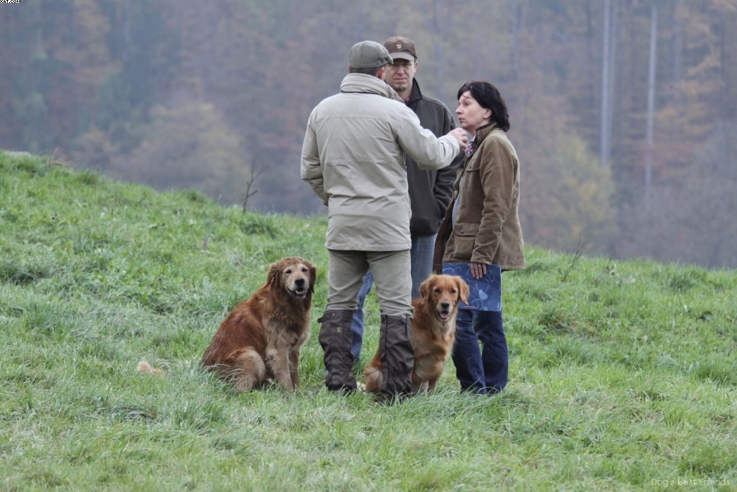 Img 1257425230 734 lg opt