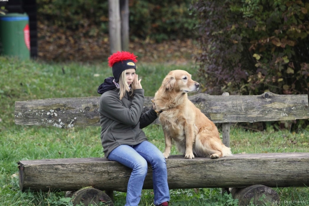 Img 1257425269 65 lg opt