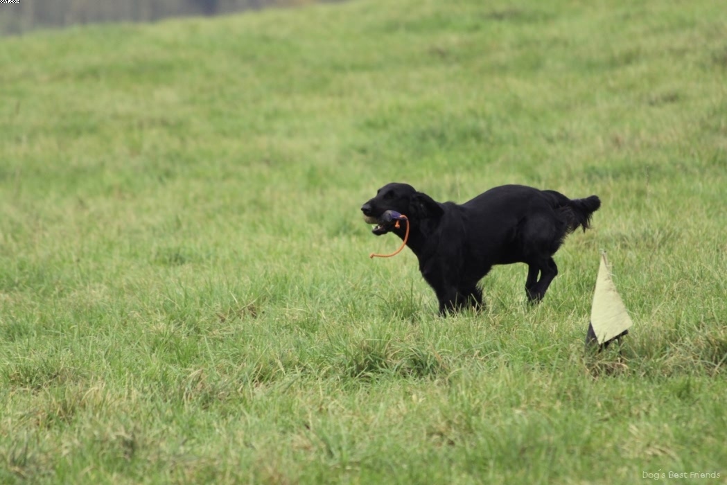 Img 1257425339 631 lg opt