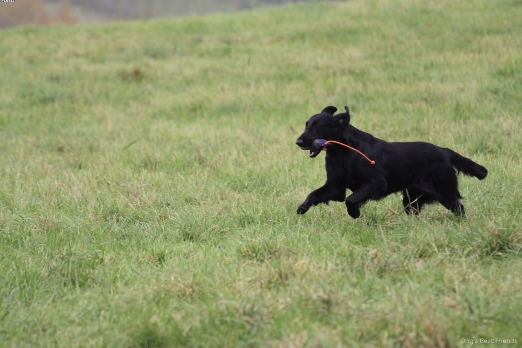 Img 1257425372 933 lg opt