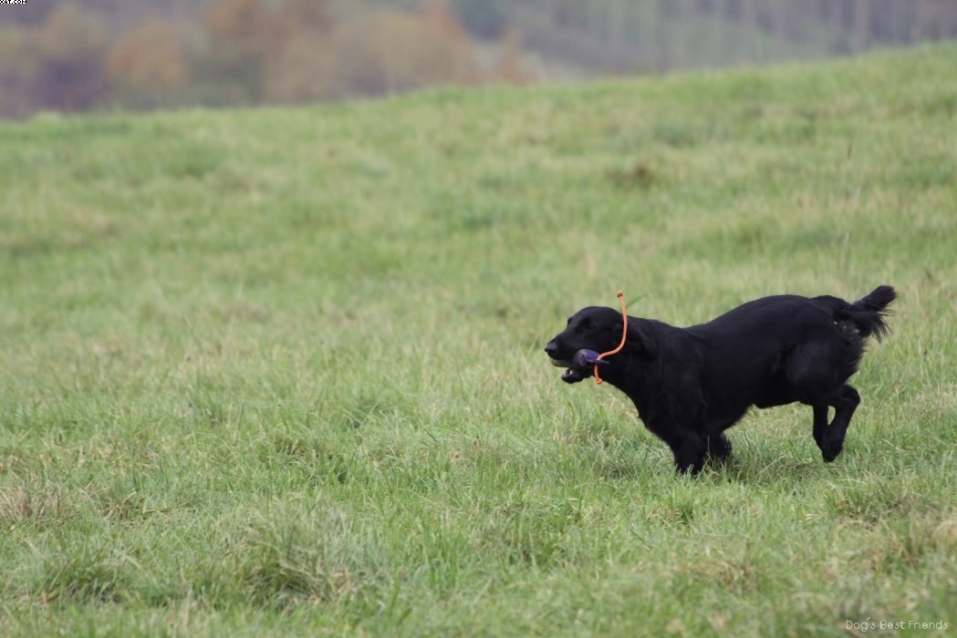 Img 1257425410 242 lg opt