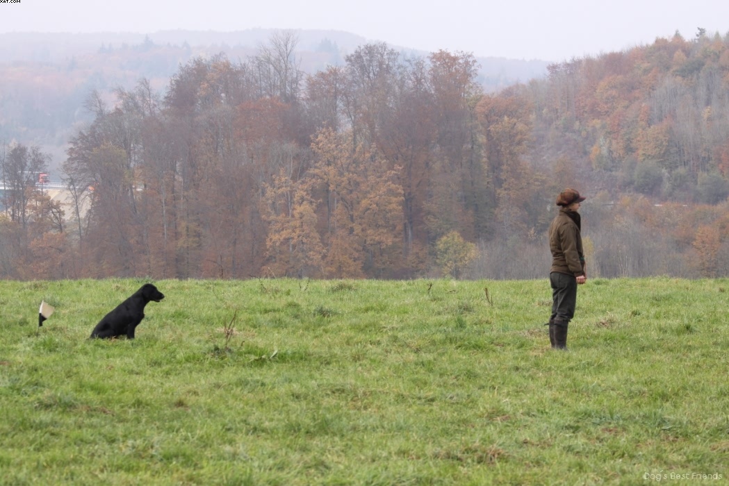 Img 1257425453 949 lg opt