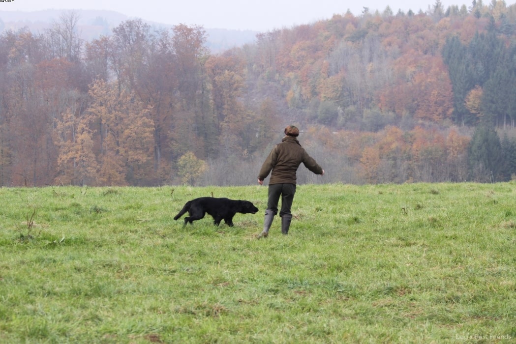 Img 1257425498 63 lg opt