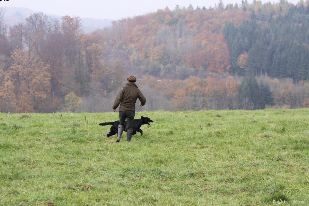 Img 1257425539 949 lg opt