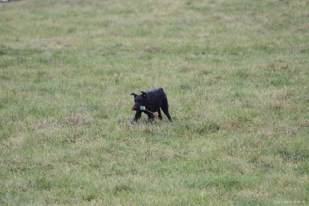 Img 1257425581 887 lg opt