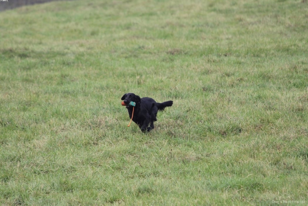 Img 1257425626 74 lg opt