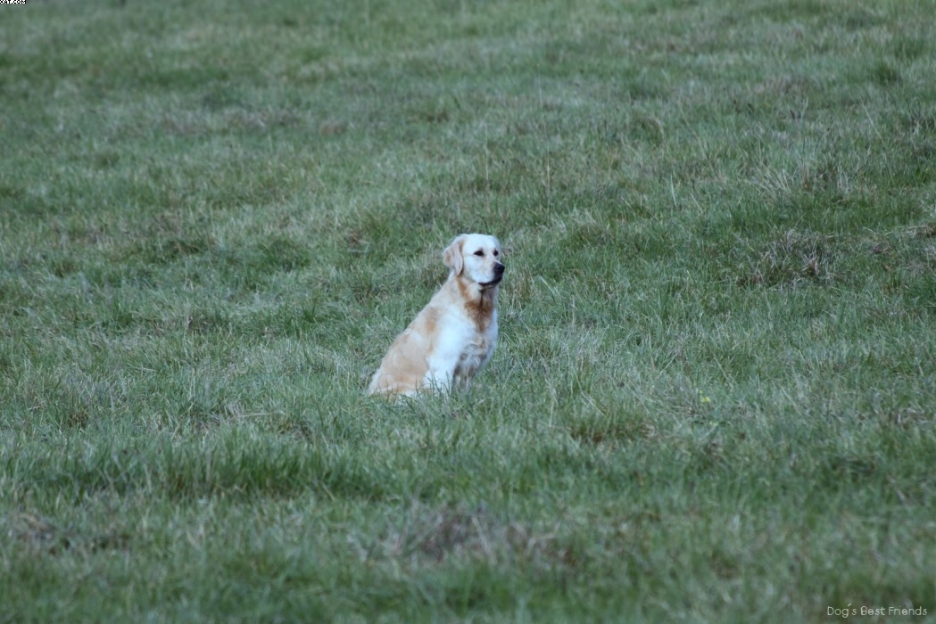 Img 1257425707 130 lg opt