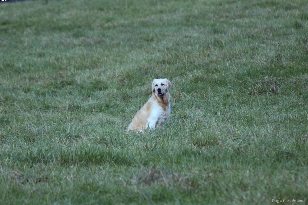 Img 1257425749 762 lg opt