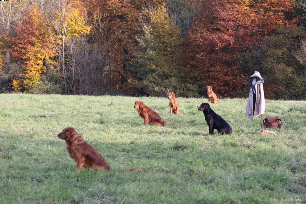 Img 1257425811 486 lg opt