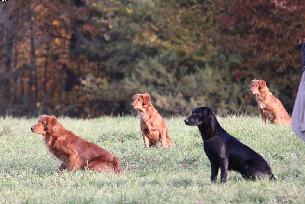 Img 1257425855 477 lg opt1