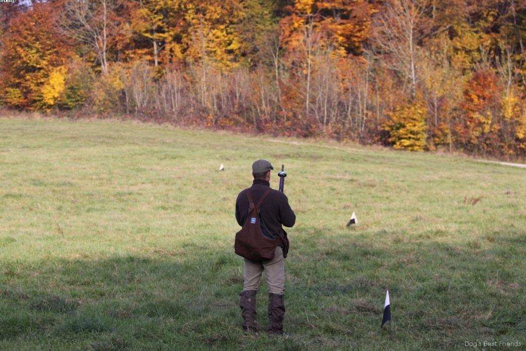 Img 1257425900 472 lg opt