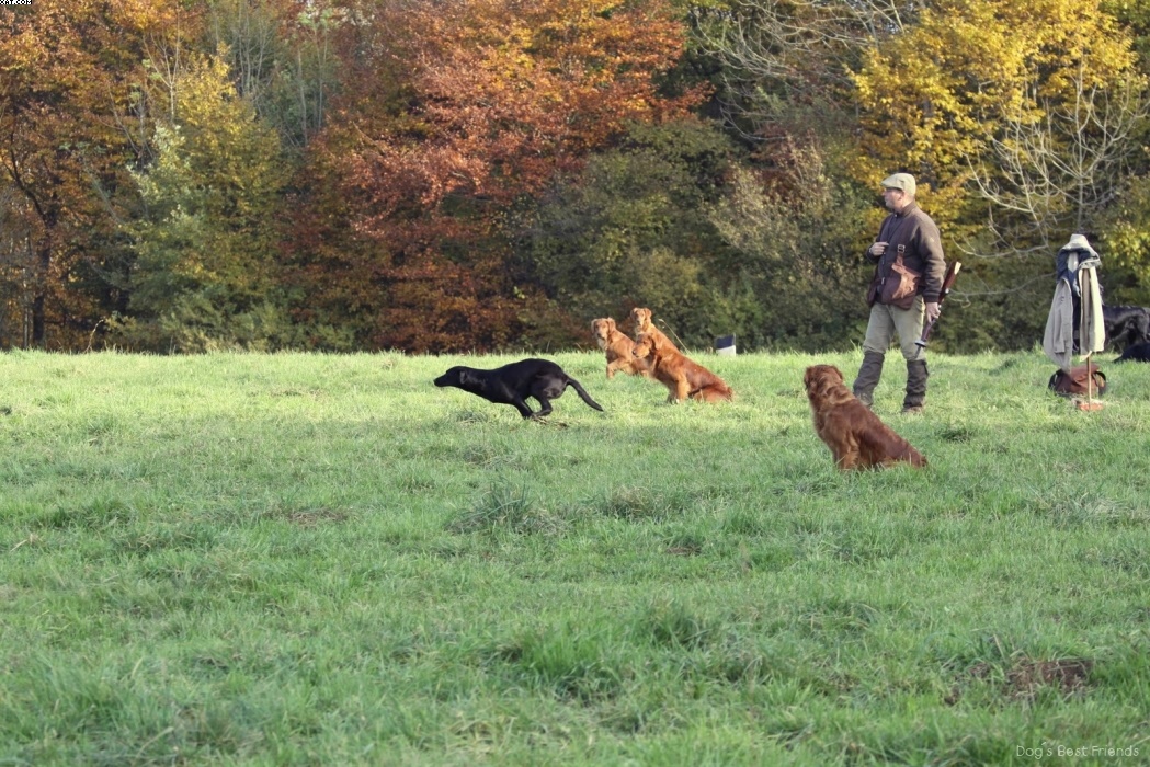 Img 1257425960 807 lg opt