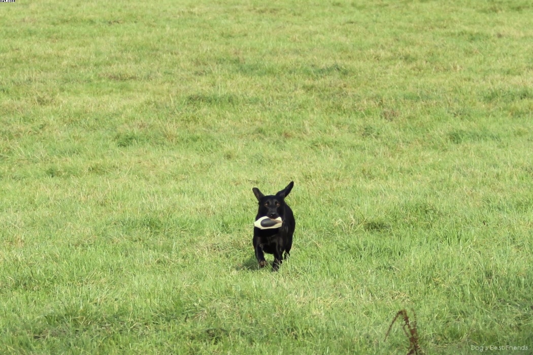 Img 1257426011 994 lg opt