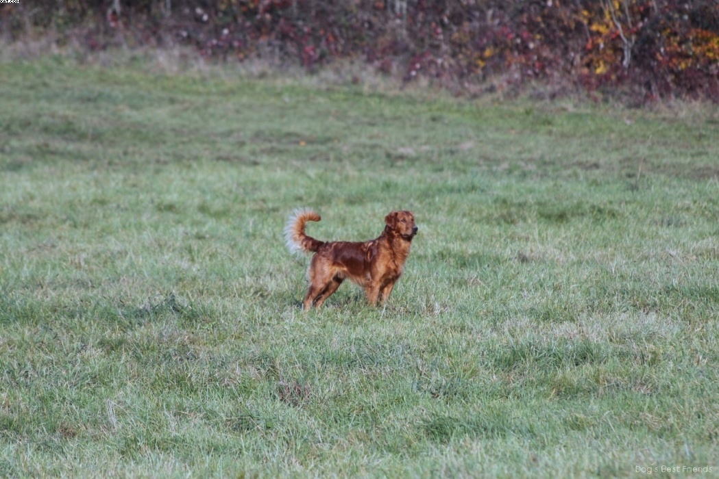 Img 1257426064 844 lg opt