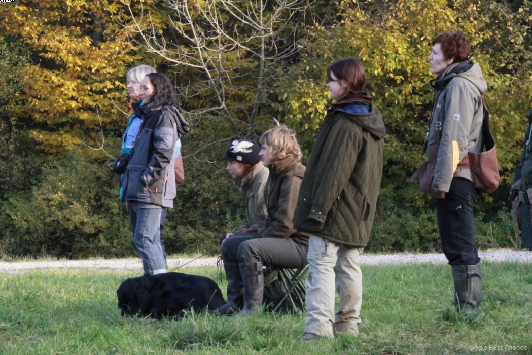 Img 1257426112 895 lg opt