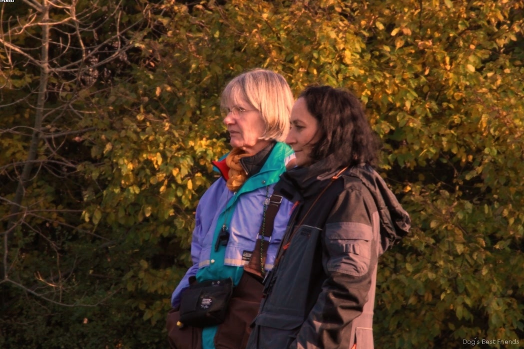 Img 1257426184 49 lg opt