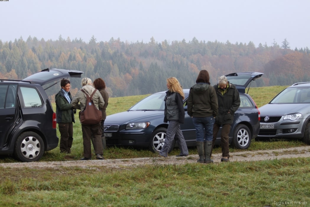 Img 1257441355 586 lg opt