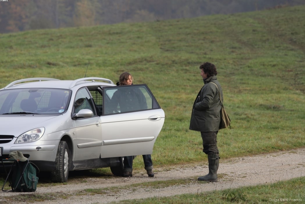 Img 1257441391 354 lg opt