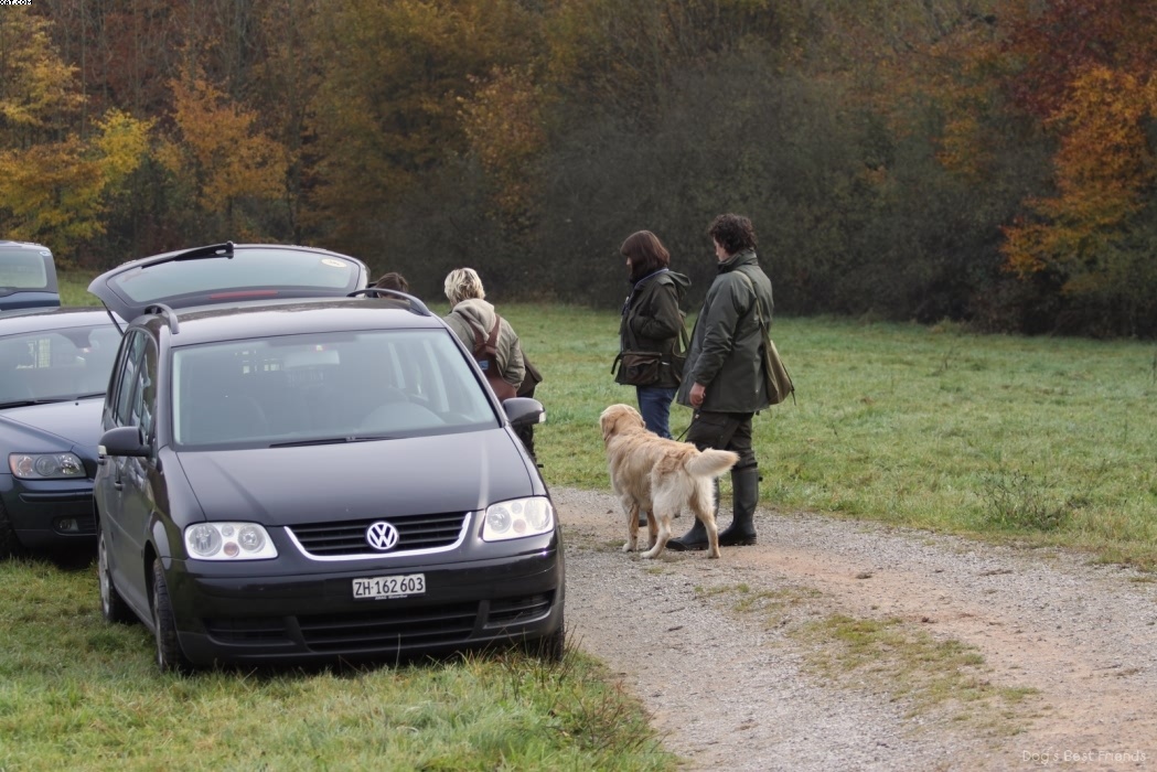 Img 1257441472 175 lg opt