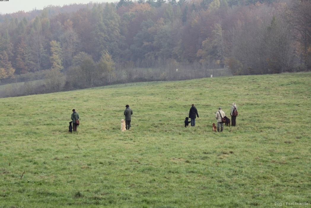 Img 1257441519 377 lg opt