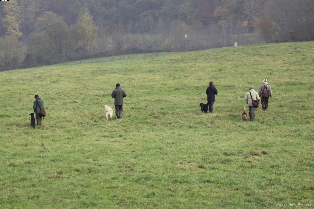 Img 1257441568 451 lg opt