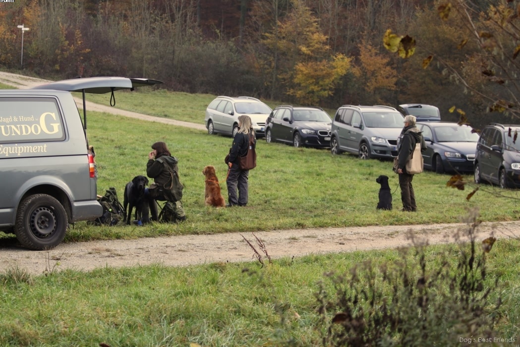 Img 1257441619 494 lg opt