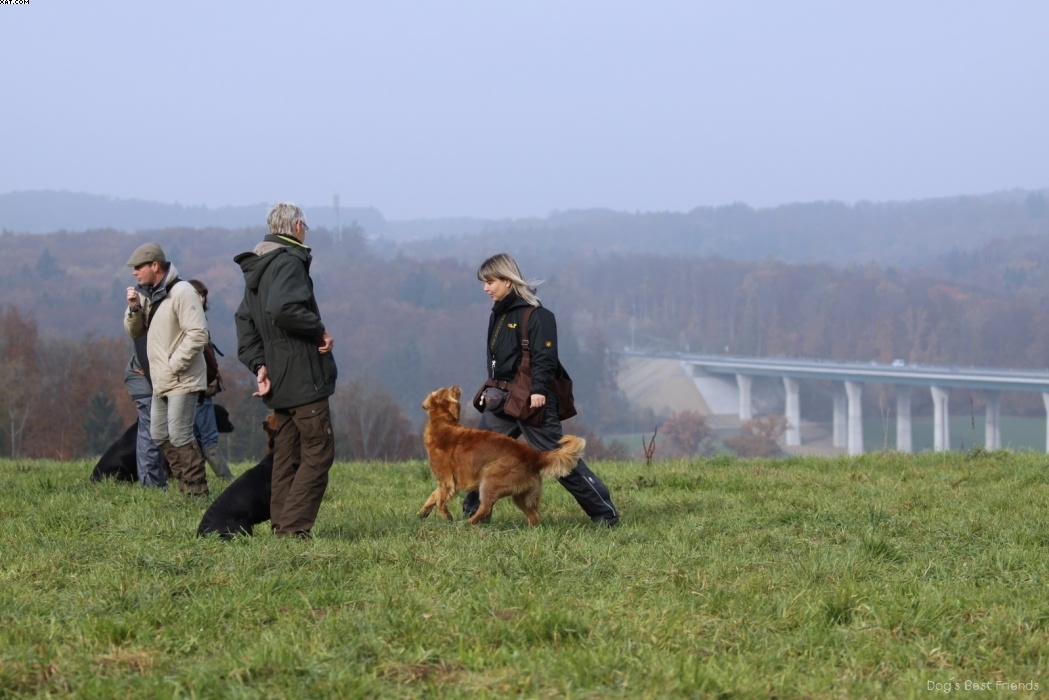 Img 1257441650 599 lg opt