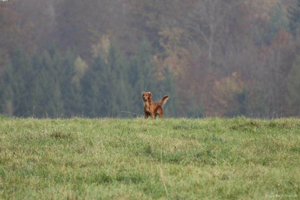 Img 1257441683 919 lg opt