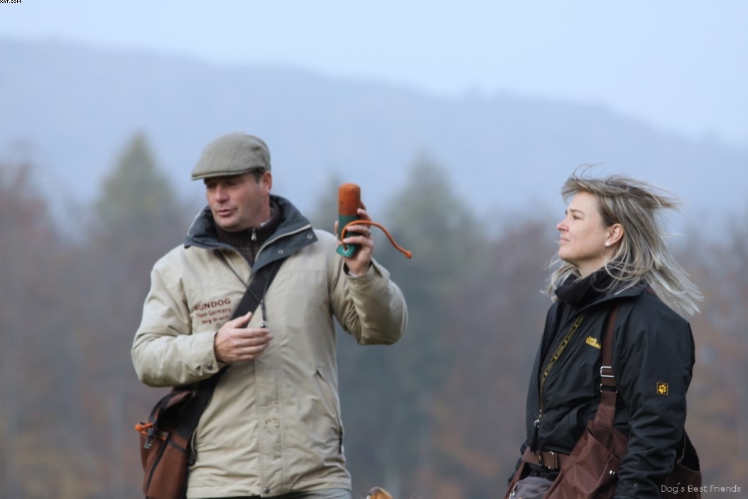 Img 1257441707 244 lg opt