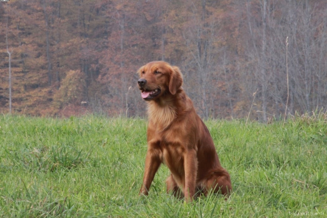 Img 1257441744 753 lg opt