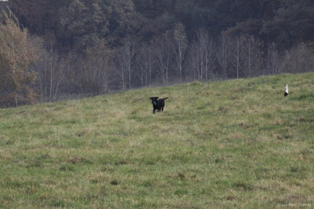 Img 1257441780 784 lg opt