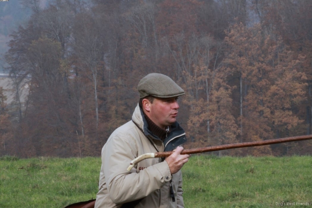 Img 1257441846 777 lg opt