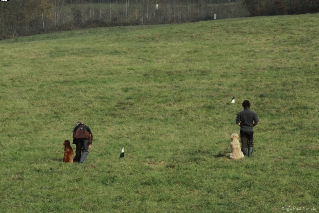 Img 1257441923 591 lg opt