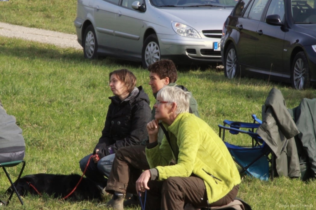 Img 1257441959 346 lg opt