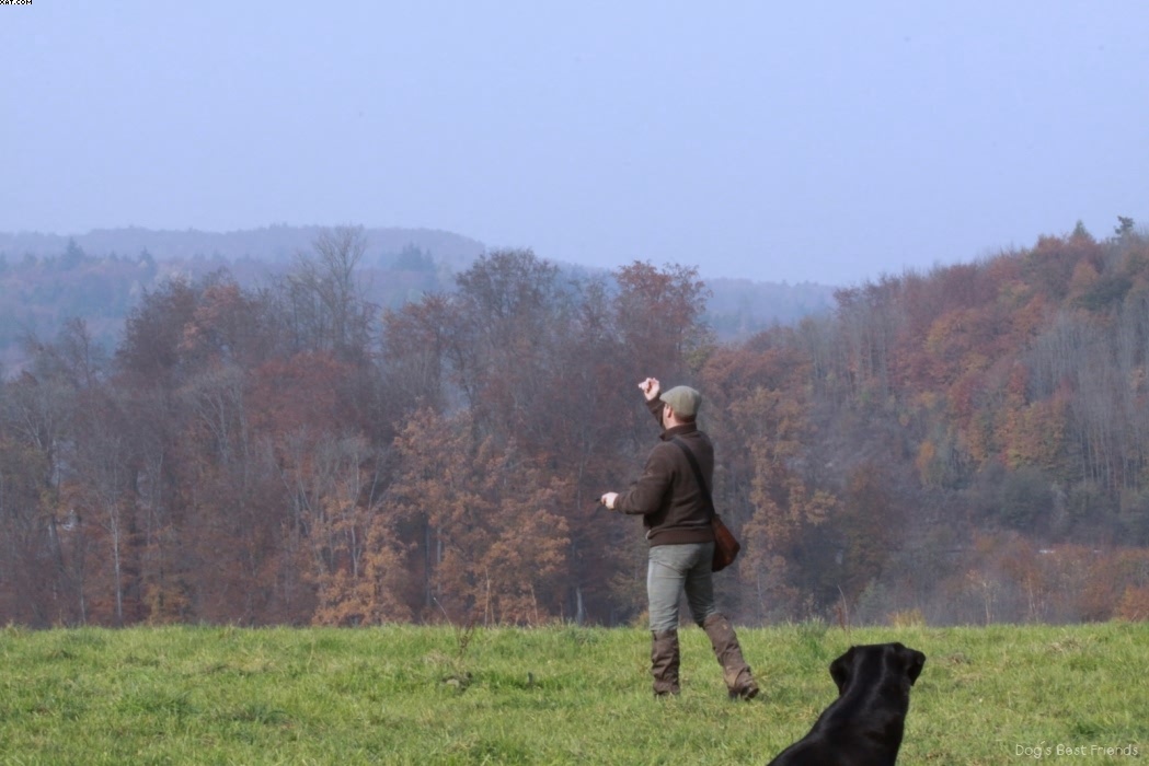 Img 1257442001 303 lg opt