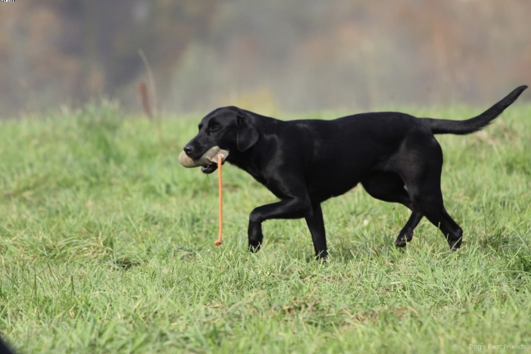 Img 1257442046 584 lg opt