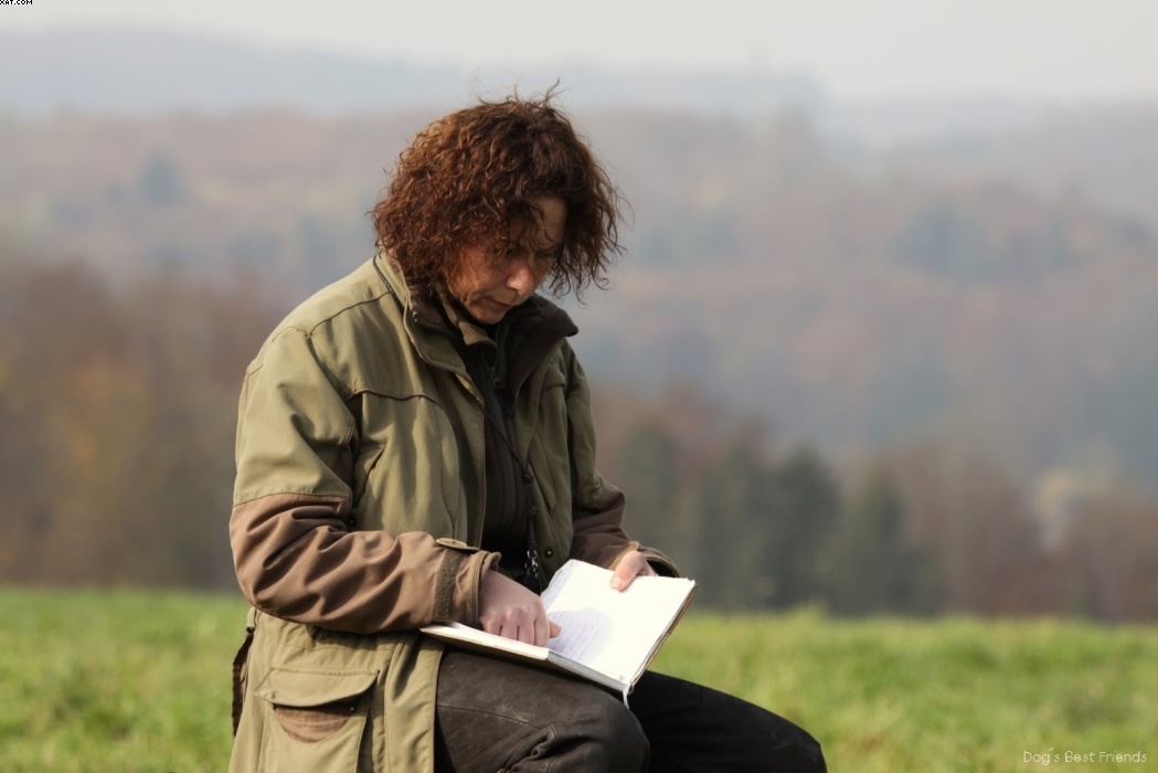 Img 1257442071 818 lg opt