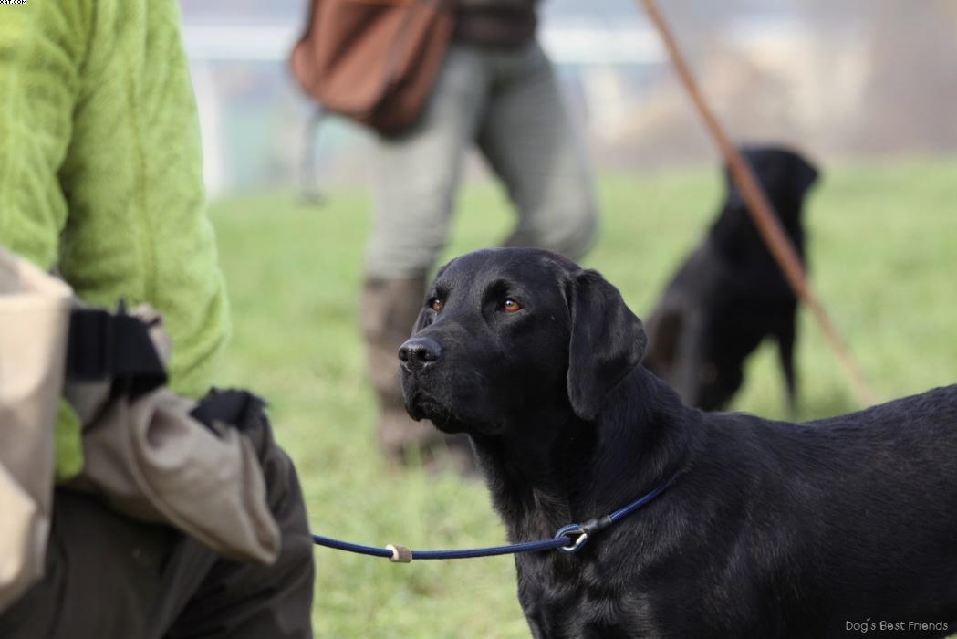 Img 1257442098 393 lg opt