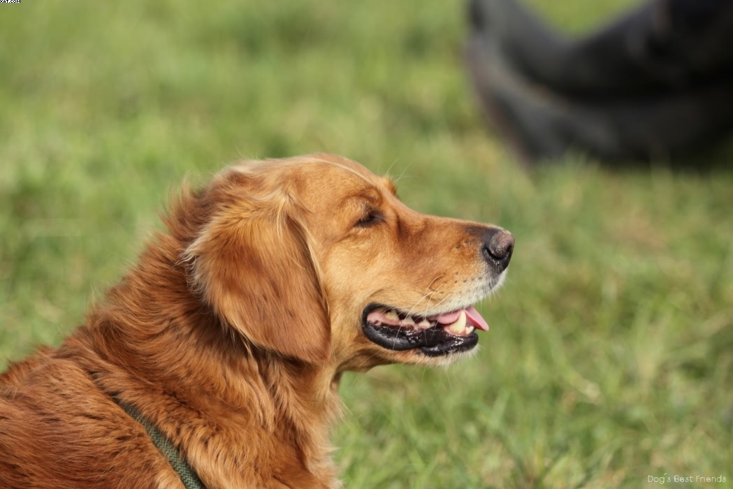 Img 1257442241 935 lg opt