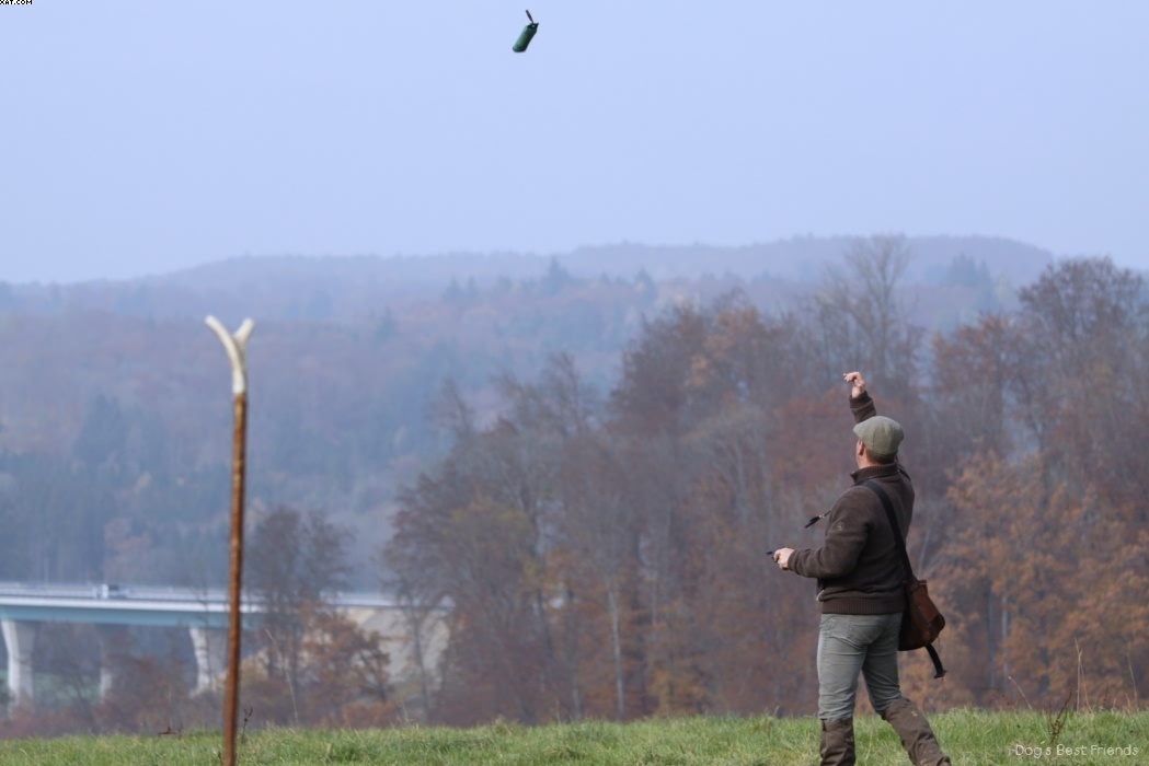 Img 1257442265 327 lg opt