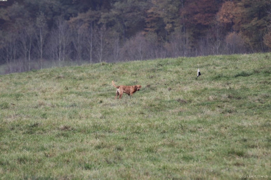 Img 1257442309 788 lg opt