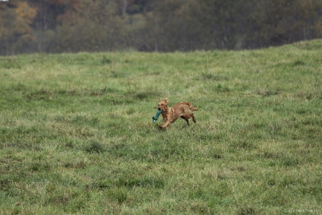 Img 1257442361 18 lg opt