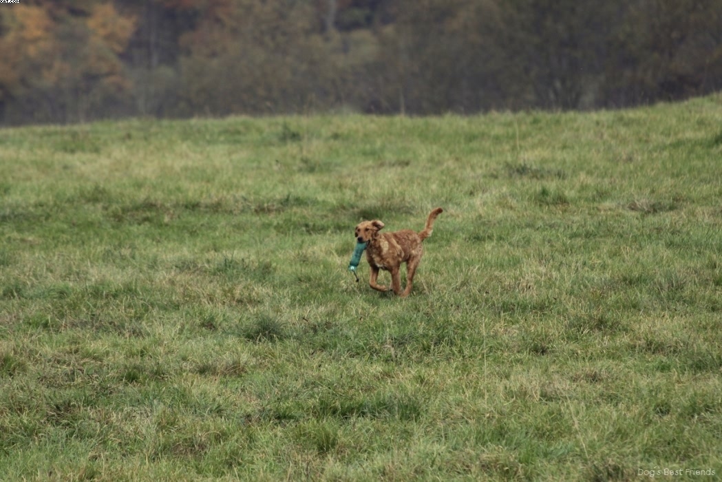 Img 1257442409 390 lg opt