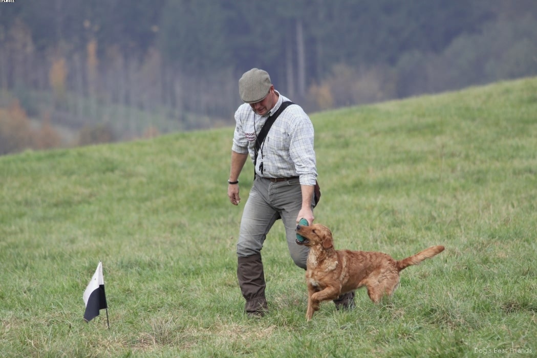 Img 1257442446 112 lg opt