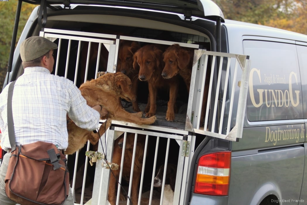 Img 1257442491 305 lg opt