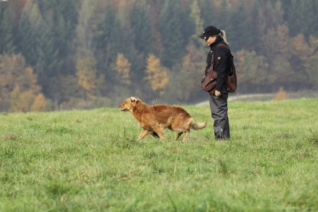 Img 1257442530 557 lg opt