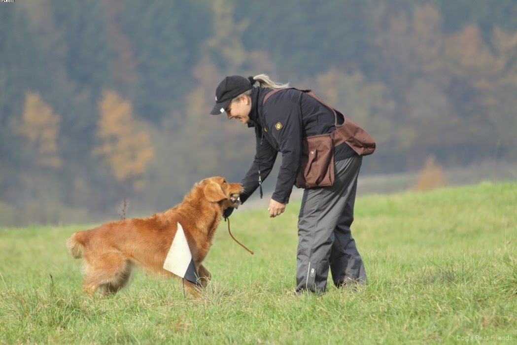 Img 1257442565 491 lg opt