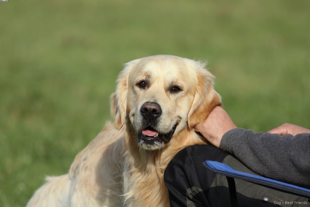 Img 1257442596 353 lg opt