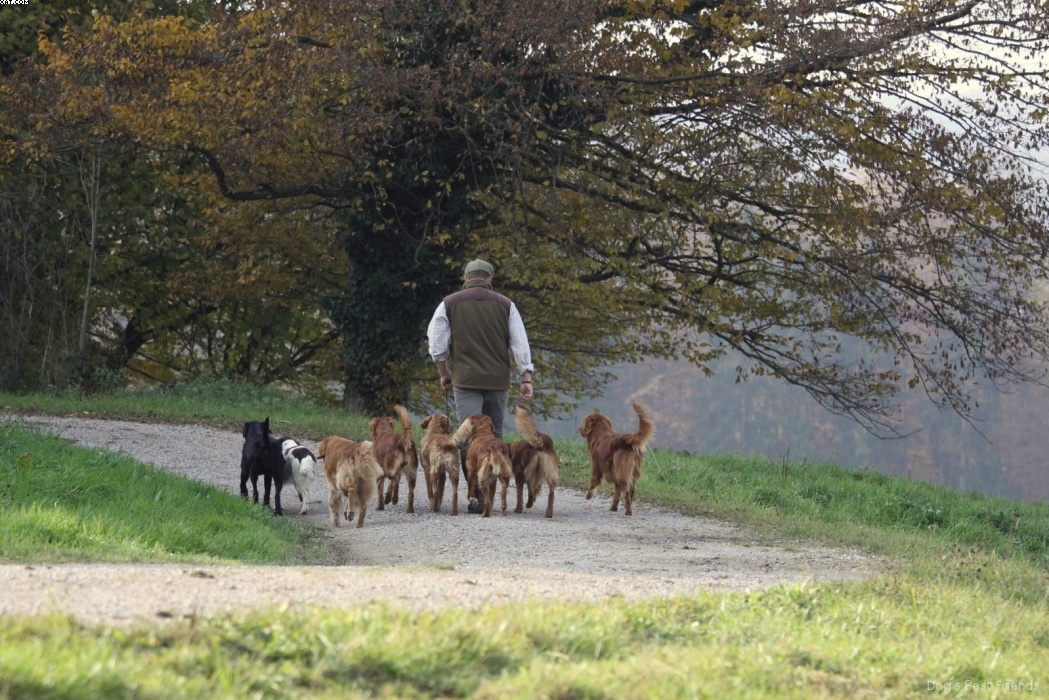 Img 1257442731 468 lg opt